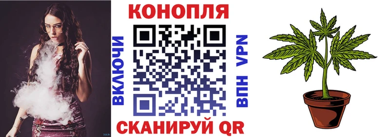 Купить где  Уварово  МАРИХУАНА OG Kush 